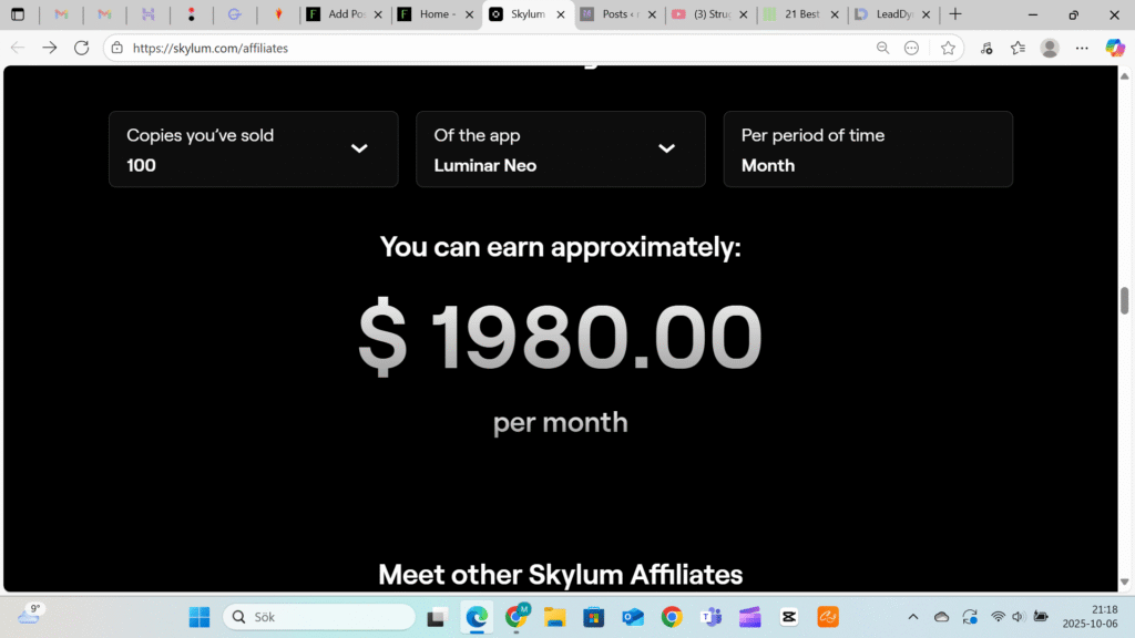The Skylum Affiliate Program | Review, Commission & Payouts